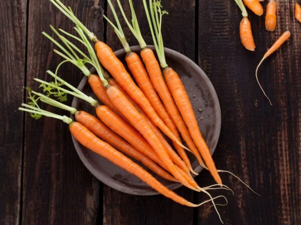 Carrot