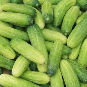 Cucumber