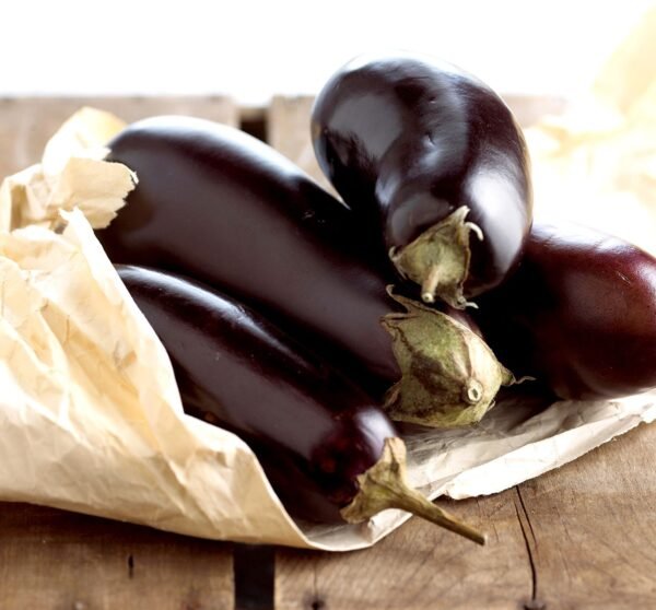 Eggplant (Brinjal)