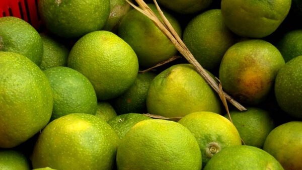 Sweet Lime / Sweet Lemon