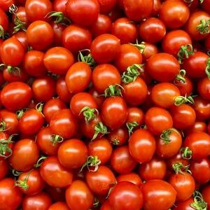 Cherry Tomato
