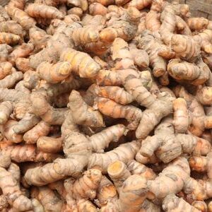 Raw Turmeric