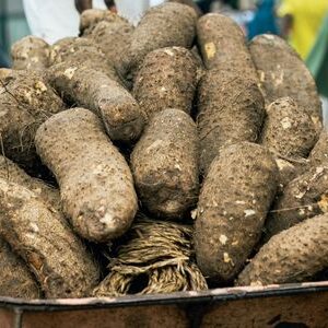 Yam (Elephant Foot Yam)