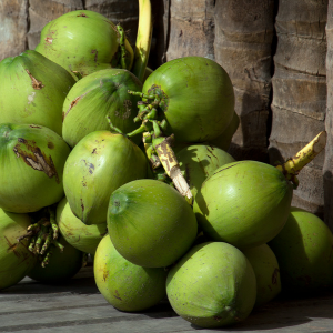Coconut