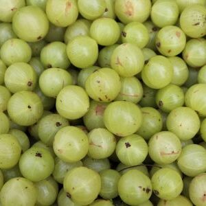 Gooseberry