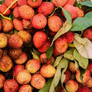 Lychee