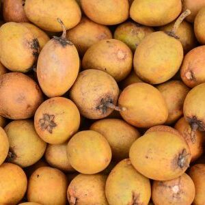 Sapodilla / Chikoo
